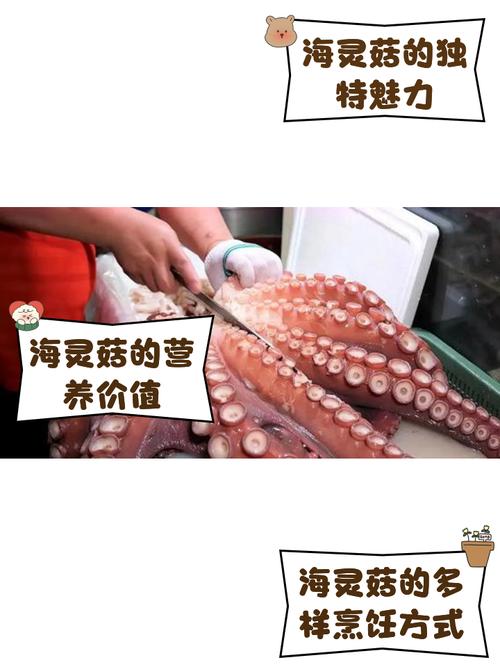 植物大战僵尸海蘑菇_植物大战僵尸海蘑菇原型-第5张图片-屿企游戏网 植物大战僵尸海蘑菇_植物大战僵尸海蘑菇原型-第5张图片-屿企游戏网