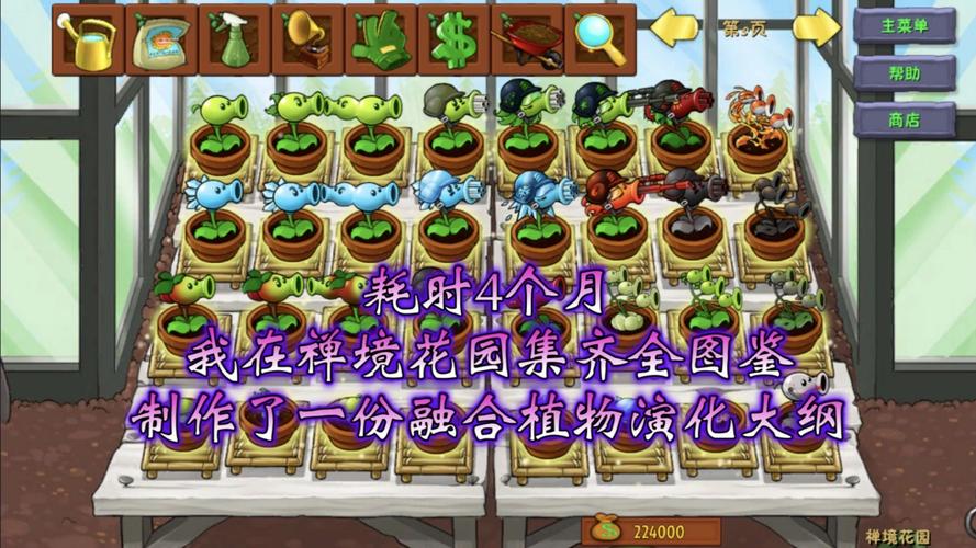 植物大战僵尸植物-植物大战僵尸植物图片-第5张图片-屿企游戏网