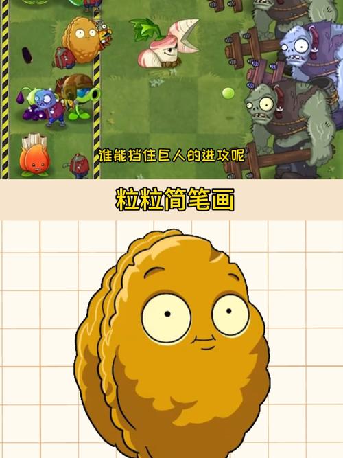 植物大战僵尸大坚果，植物大战僵尸大坚果墙