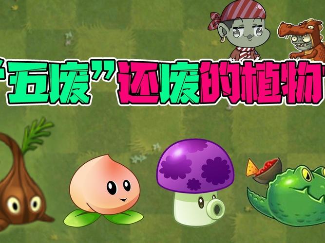 植物大战僵尸2-5，植物大战僵尸25强植物是哪五强-第2张图片-屿企游戏网