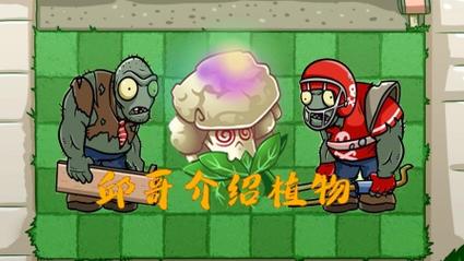 植物大战僵尸超能花菜,植物大战僵尸超能花菜挑战-第4张图片-屿企游戏网 植物大战僵尸超能花菜,植物大战僵尸超能花菜挑战-第4张图片-屿企游戏网
