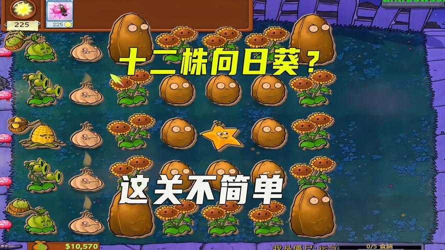 向日葵植物大战僵尸，向日葵植物大战僵尸歌曲大全-第2张图片-屿企游戏网