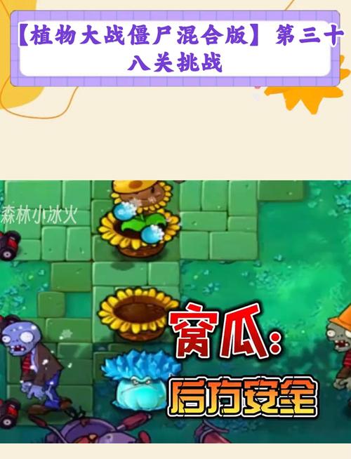 植物大战僵尸三关，植物大战僵尸3关-第4张图片-屿企游戏网