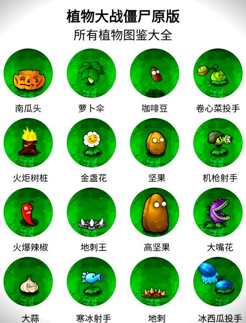 植物大战僵尸里面的所有植物_植物大战僵尸里面的所有植物怎么画-第3张图片-屿企游戏网