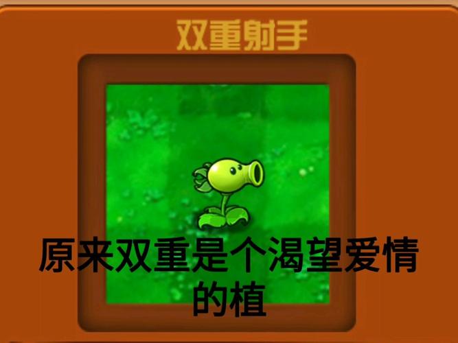 植物大战僵尸2破解版全植物，植物大战僵尸2破解版全植物满级0阳光叠加-第4张图片-屿企游戏网